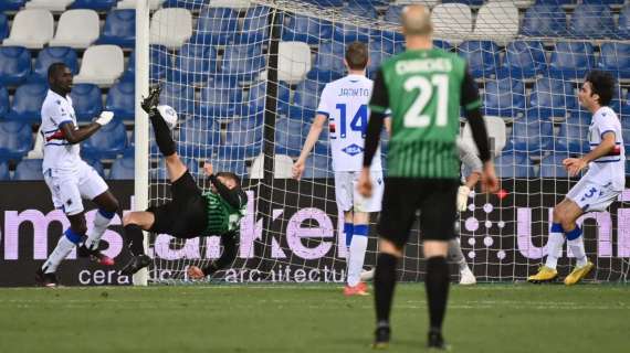 Berardi, non solo Milan: Mimmo quando vede la Sampdoria 'si incazza'