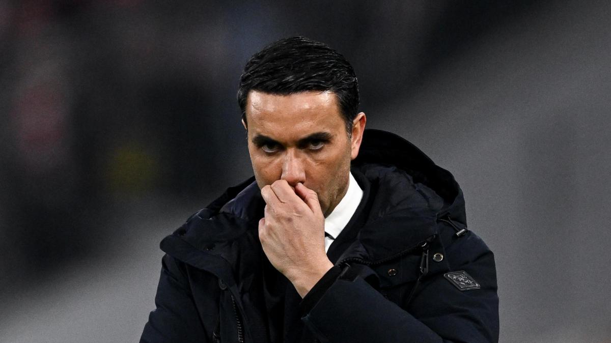 Palladino: "Il mio rammarico è non aver fatto punti contro il Sassuolo"