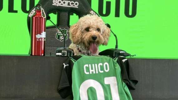 Globe Soccer Awards: il Sassuolo e il cane Chico tra i candidati