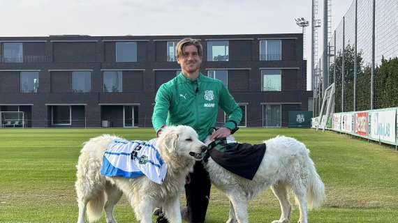 Progetto un gol a quattro zampe: diversi gli animali adottati per l'iniziativa del Sassuolo