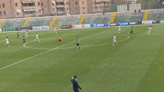 Sassuolo Cagliari Primavera 2-2 FINALE: pari e patta con la doppietta di Knezovic