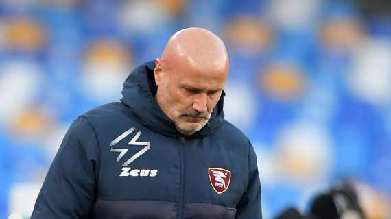 Colantuono esonerato dalla Salernitana: è ufficiale. C'è Nicola, no di Pirlo