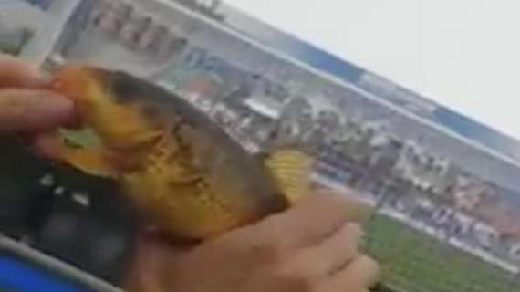 I tifosi del Modena pescano un pesce al Mapei Stadium &ndash; VIDEO