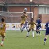Chisola, interesse di Novara e Pro Vercelli per il 2009 Federico Brusa