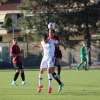 Campionato di Serie D : Montevarchi - Livorno 0 - 2
