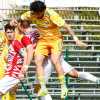 Playoff e Salvezza: La 32ª Giornata del Girone E rimescola le carte