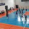 Silicon Volley – Arno Volley : Pagelle a Confronto: I Protagonisti della Sfida 