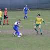 Campionato di II Categoria : Santa Firmina vs Faellese 0 - 0