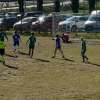 Campionato di Eccellenza : Castiglionese - Fortis Juventus 0 - 0 