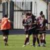 ACF Arezzo: Ultima sfida in Serie B contro il Bologna per chiudere in bellezza