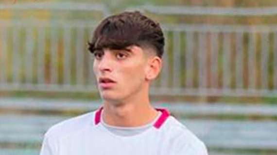 Francesco Perrotta, Un Nuovo Jolly per il Centrocampo Amaranto