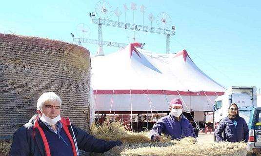 La Chianina dona dieci rotoballe al circo Rolando Orfei