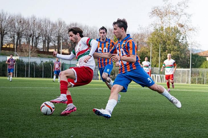 Rondinella regina d'inverno: colpaccio a Figline e fuga solitaria