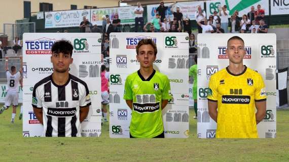 Mercato Sansepolcro: Giovani Talenti ed Esperti Ritorni