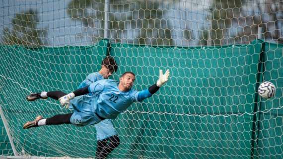 Verso la Juventus Next Gen: l'Arezzo festeggia 102 anni e si prepara per il big match 