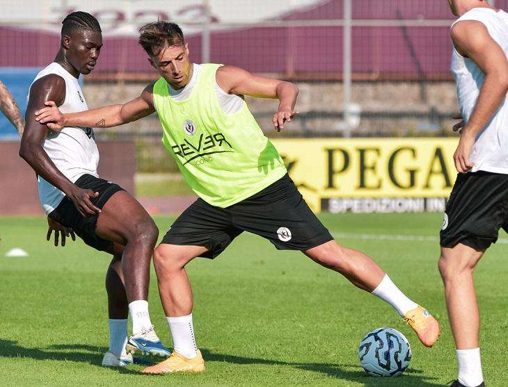 Arezzo, Testa al Carpi: Obiettivo Fuga 🚀 per Blindare la Vetta