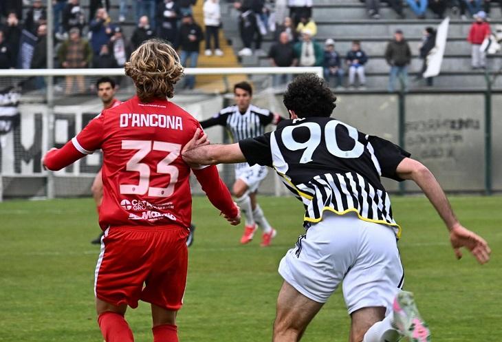 La legge di Indiani non perdona: il Grosseto torna tra i professionisti.