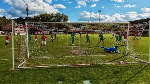 Campionato di Serie D : Terranuova Traiana - Fezzanese 2 - 0