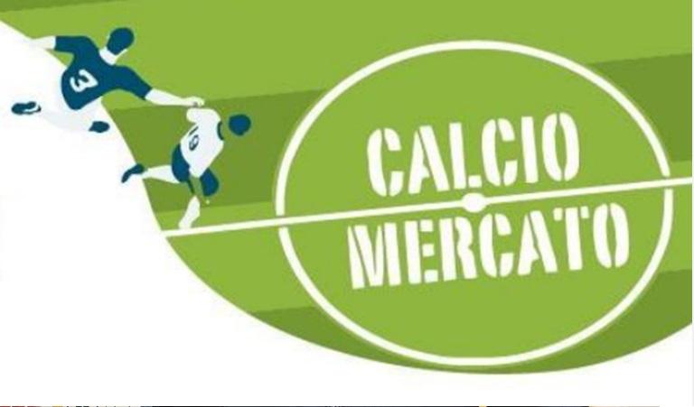 Il prezzo della cadetteria: ecco il budget necessario all'Arezzo per un campionato da protagonista