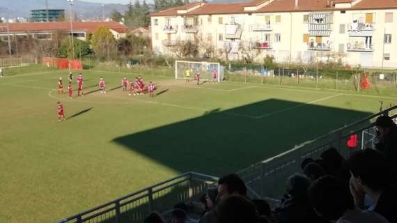Fortis Arezzo: Spina Dorsale Robusta per la Nuova Stagione