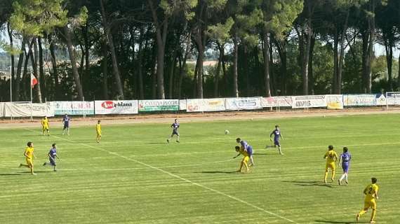 Campionato di Eccellenza : Nuova Foiano - Affrico 2 - 2 