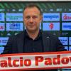 Ex rossoverdi: Padova cambia guida: esonerato Andreoletti, torna Breda