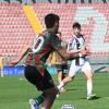 TuttoC - Top & Flop di Juventus Next Gen-Ternana
