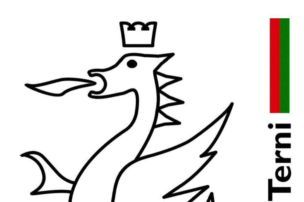 Ternana - La nota del Comune sull'interessamento del presidente commissione sport Senato