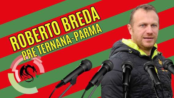 Ternana-Parma, la conferenza stampa di Breda - VIDEO
