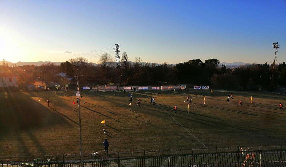 Ternana - Ultime dal campo