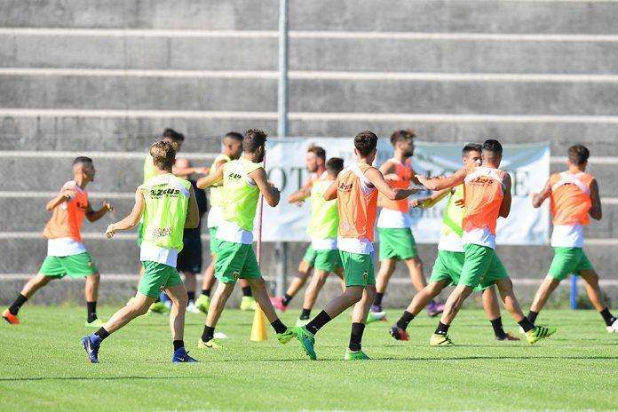 Notiziario - Ternana, fermo Marino e differenziato per Meccariello