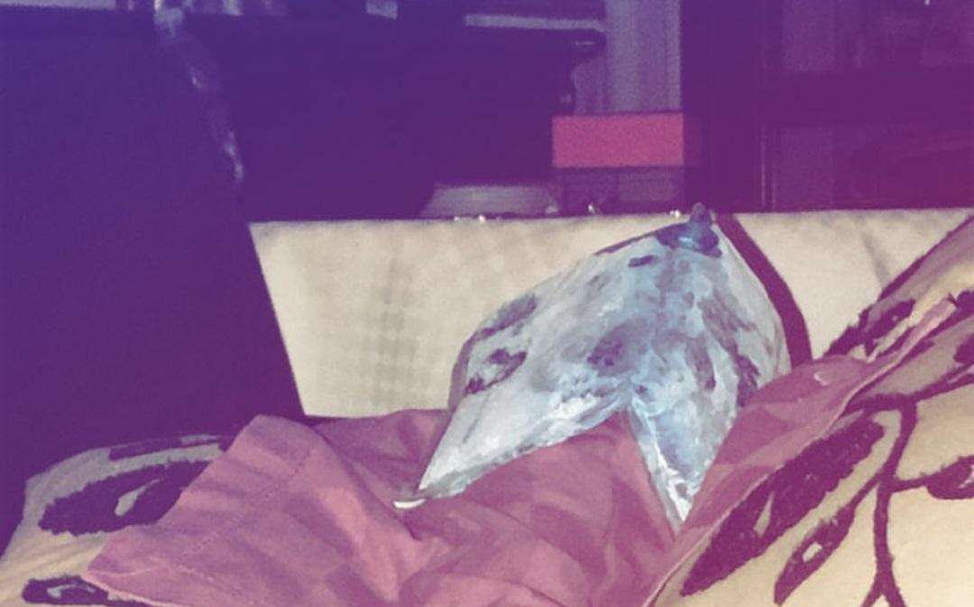 FOTO - Ghiaccio per festeggiare la vittoria per Plizzari, ma non nel bicchiere