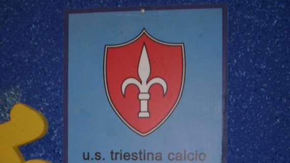 Triestina, D'Aniello: "Liste a 22 tarpano ali a club virtuosi"
