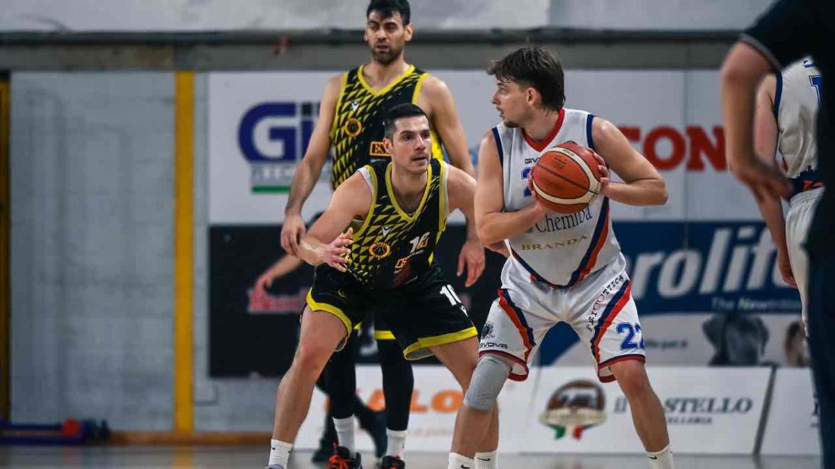 Amadio vs Assisi