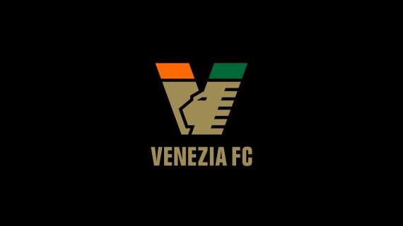 Nuovo logo Venezia