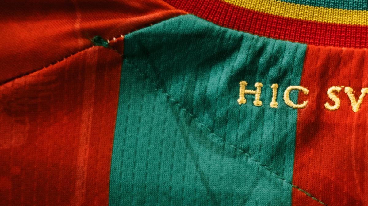 Sondaggio: la Ternana riuscirà a centrare i playoff?