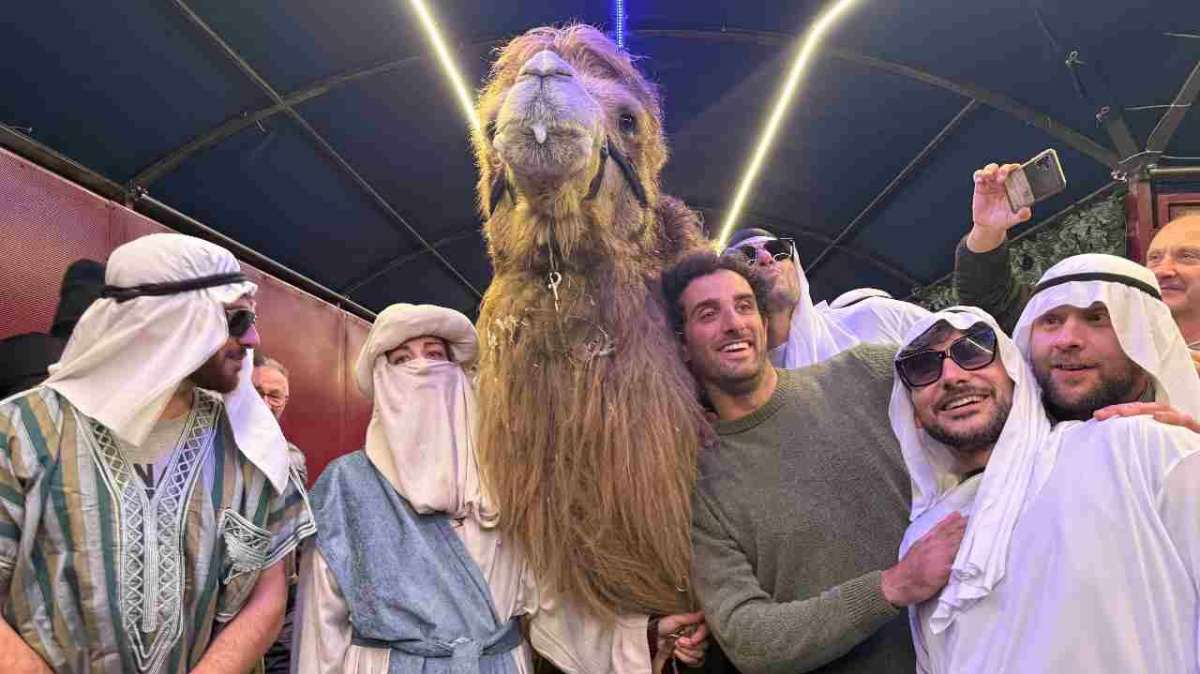 Tommaso Montanari con un cammello al party organizzato per il suo ritorno dalla Dakar 2025 - Foto TernanaNews