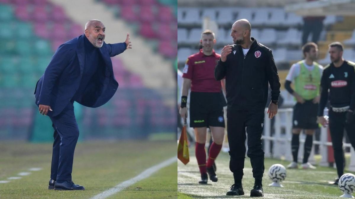 Liverani e Stellone