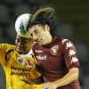 Immagine news 11