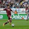 Immagine news 17
