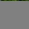 Immagine news 8