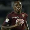 Immagine news 23