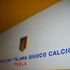 Immagine news 13