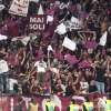 Immagine news 8