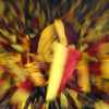 Immagine news Notizie n.1