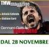 Immagine news 62