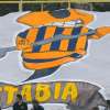Immagine news 13