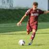 Immagine news 17