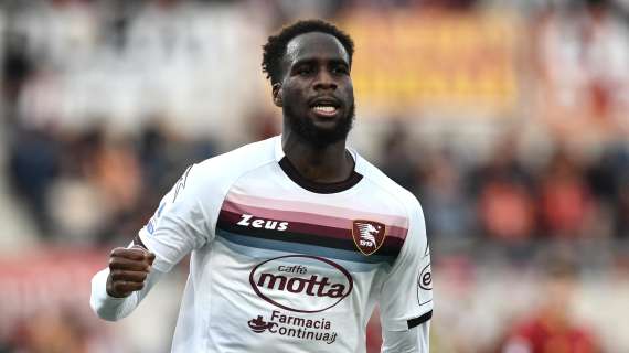 Salernitana, in quattro su Dia 