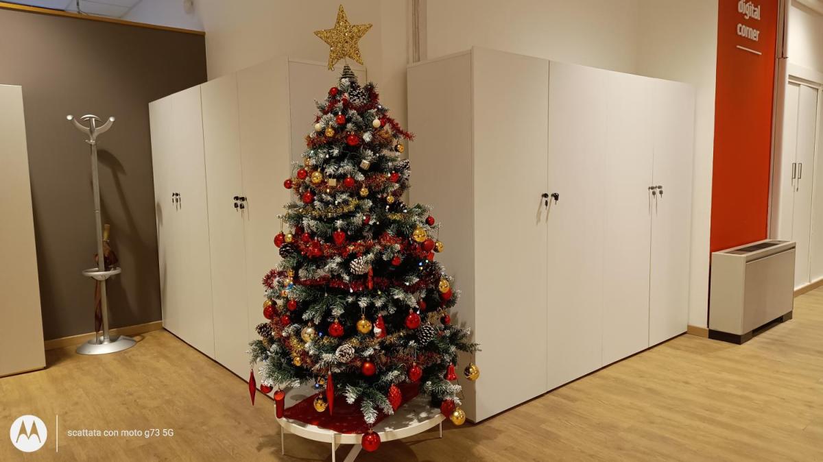 Immagine strip Primo Piano n.1